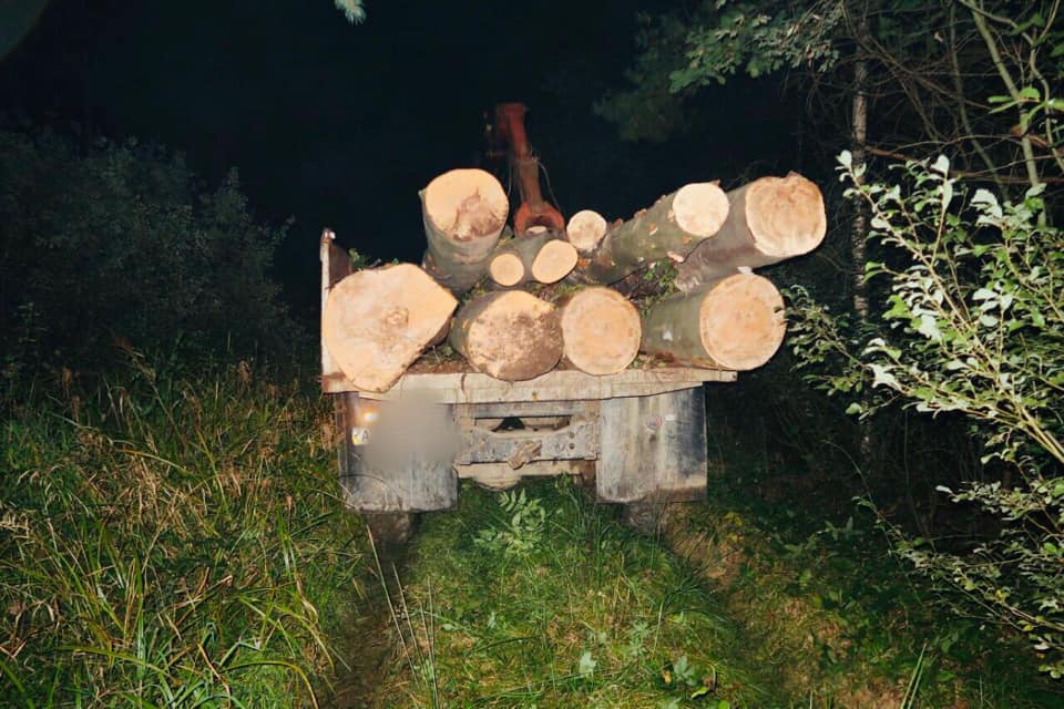На Калущині спіймали лісника на машині, повній необлікованої деревини (ФОТО)