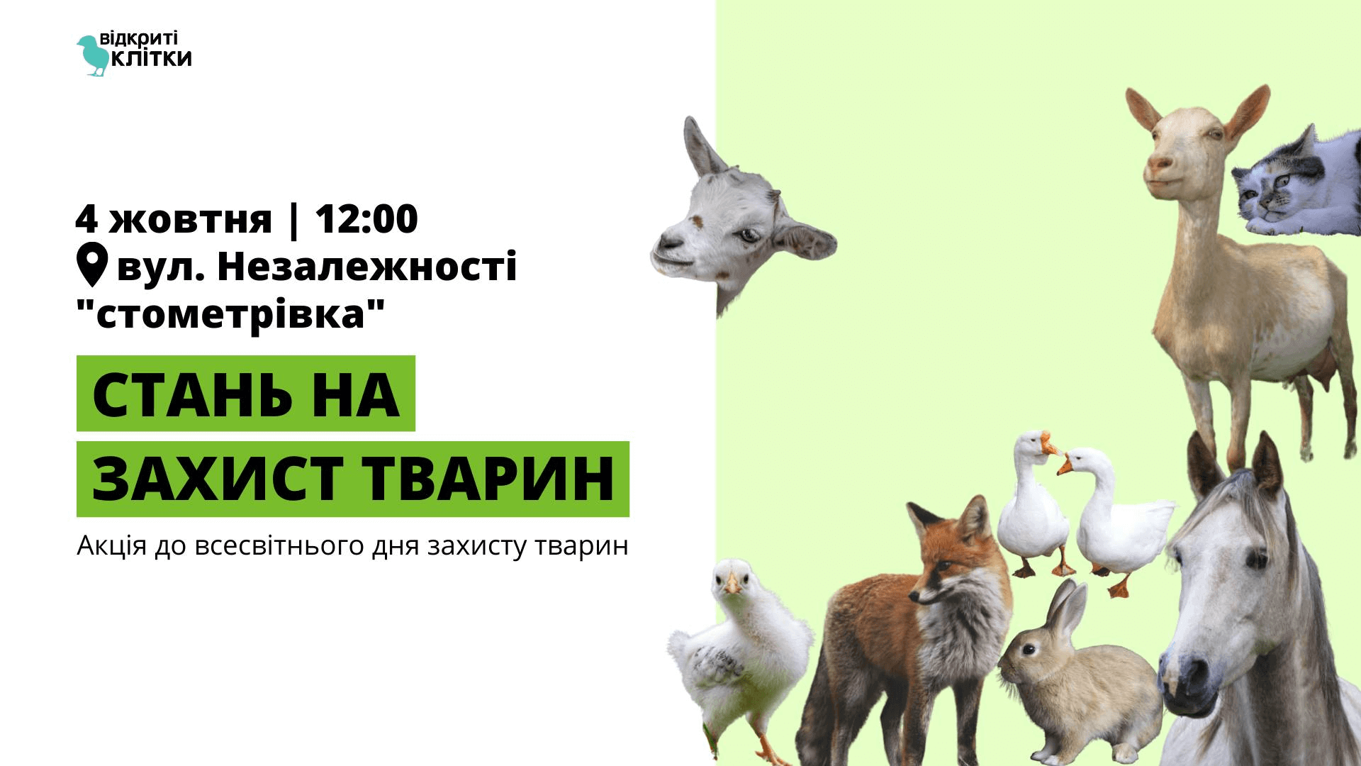 Франківців кличуть на акцію до Всесвітнього дня захисту тварин