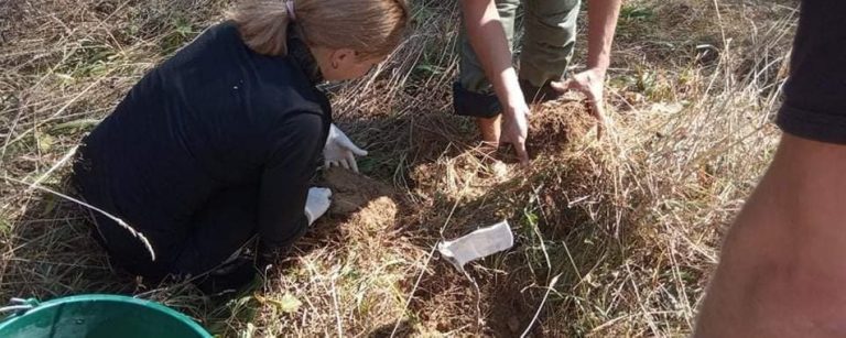 На Прикарпатті садитимуть дерева у пам’ять загиблих на війні