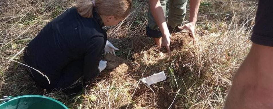 На Прикарпатті садитимуть дерева у пам’ять загиблих на війні