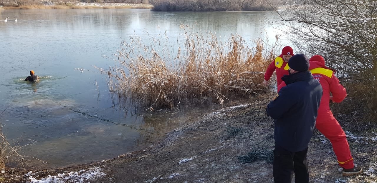 На Прикарпатті рятувальники визволяли лебедів з крижаної пастки (ФОТО)