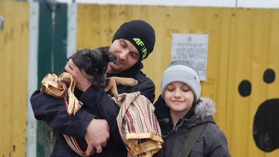Понад дві тисячі покинутих тварин знайшли нові домівки у 2020 завдяки “Дому Сірка”