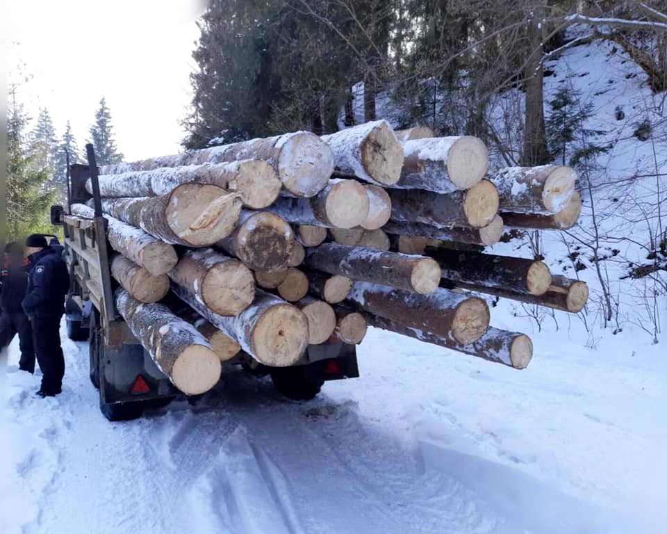 На Прикарпатті у браконьєрів конфіскували деревину та вантажівки (ФОТО)