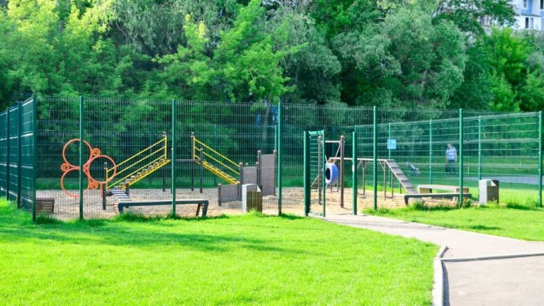 У парку Шевченка хочуть облаштувати майданчик для вигулу собак (ПРОЄКТ)