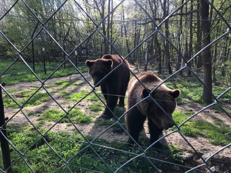 Що подивитися у Галичі: п’ять місць для відпочинку (ФОТО)