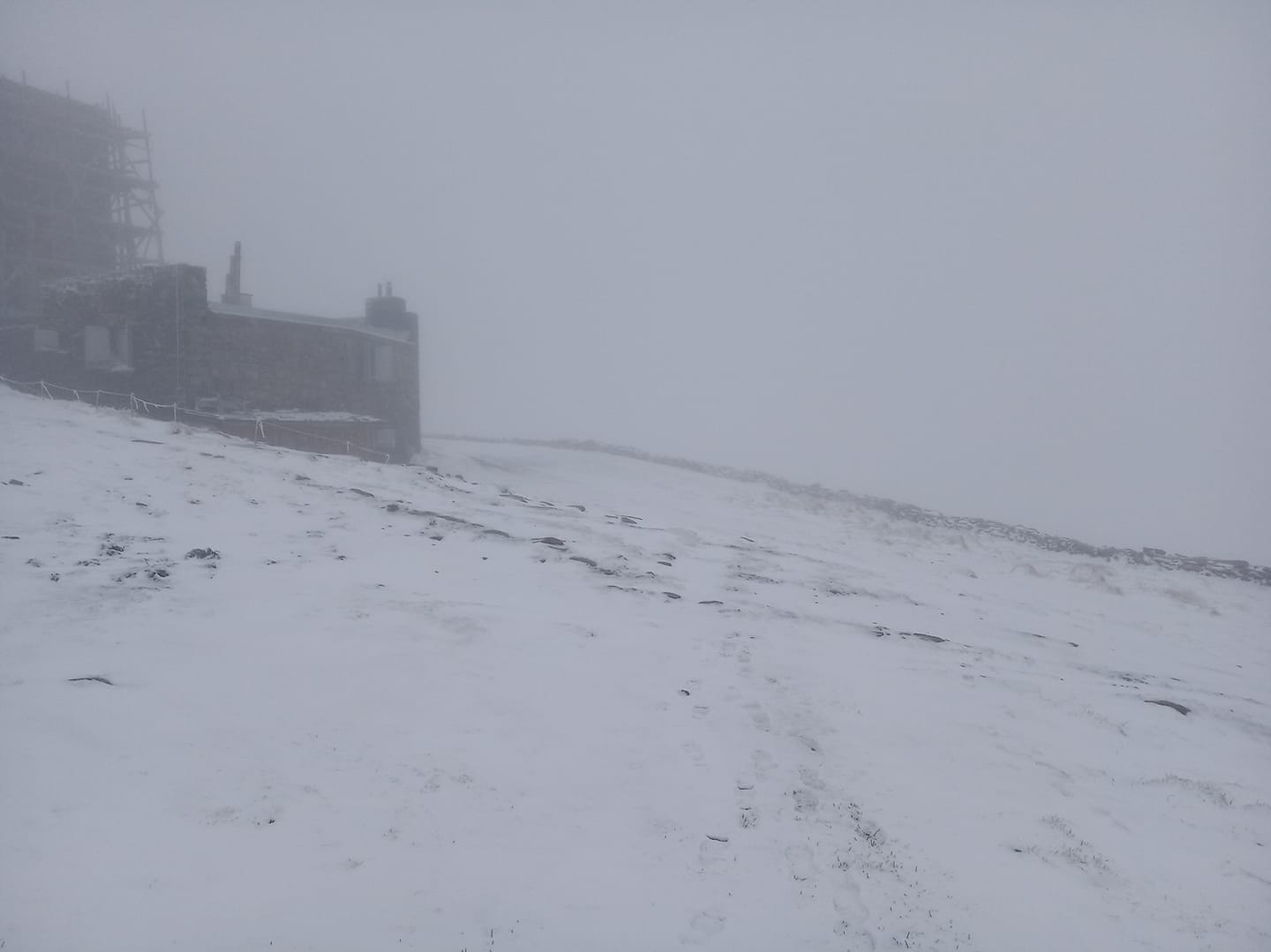 В останню неділю весни в Карпатах сніжить (ФОТОФАКТ)