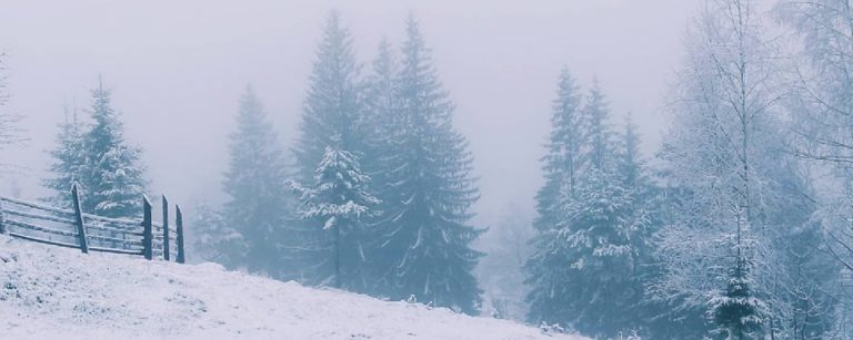 Вкотре за травень на Франківщині випав сніг (ФОТО, УТОЧНЕНО)