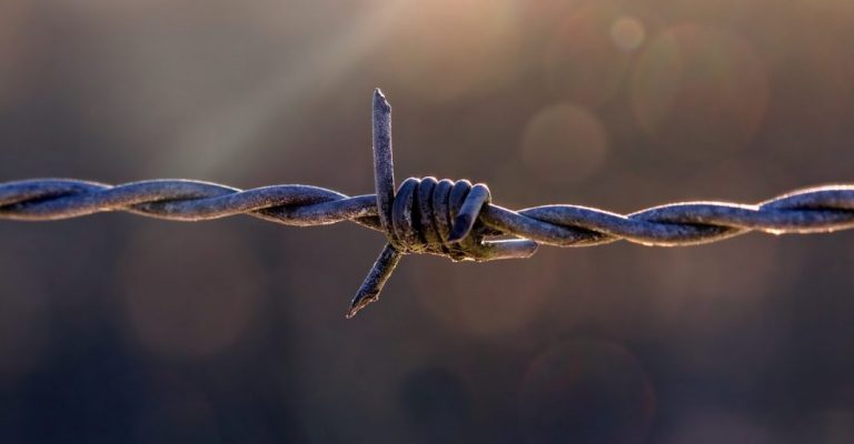 Тоталітарна система перетворила тисячі людей на таборовий пил – Зеленський у День пам’яті жертв політичних репресій