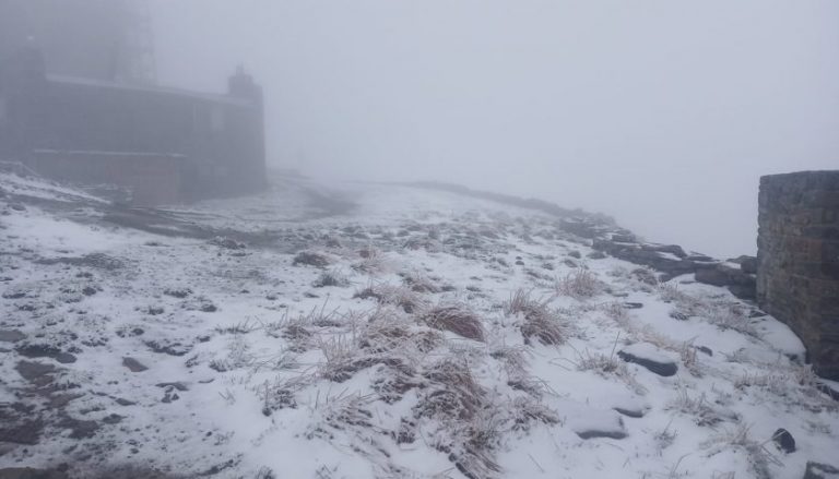 У переддень літа в Карпатах знову йде сніг (ФОТО)