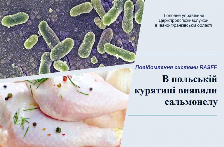 Прикарпатців попереджають про небезпечну польську курятину із сальмонелою
