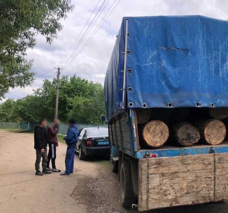 Двоє прикарпатців вкрали деревину з території лісового господарства (ФОТО)