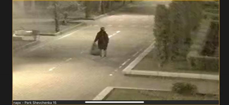 Вночі літня жінка поцупила з клумб парка Шевченка бегонії та троянди (ФОТО)