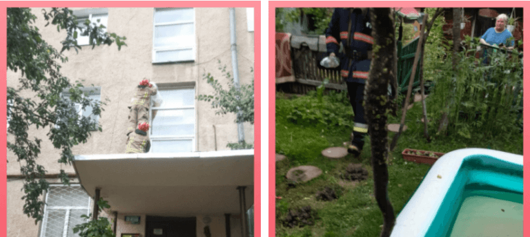 У Калуші рятувальники “боролися” з осиним гніздом над під’їздом дому, а в Снятині – ловили змію (ФОТО)