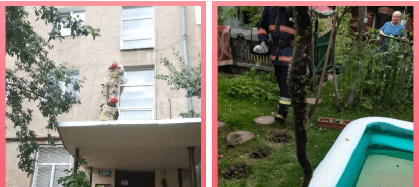У Калуші рятувальники “боролися” з осиним гніздом над під’їздом дому, а в Снятині – ловили змію (ФОТО)