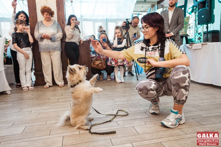 На вечірці з аукціоном для “Дачі Сірків” вдалося зібрати майже 140 тисяч гривень (ФОТО)