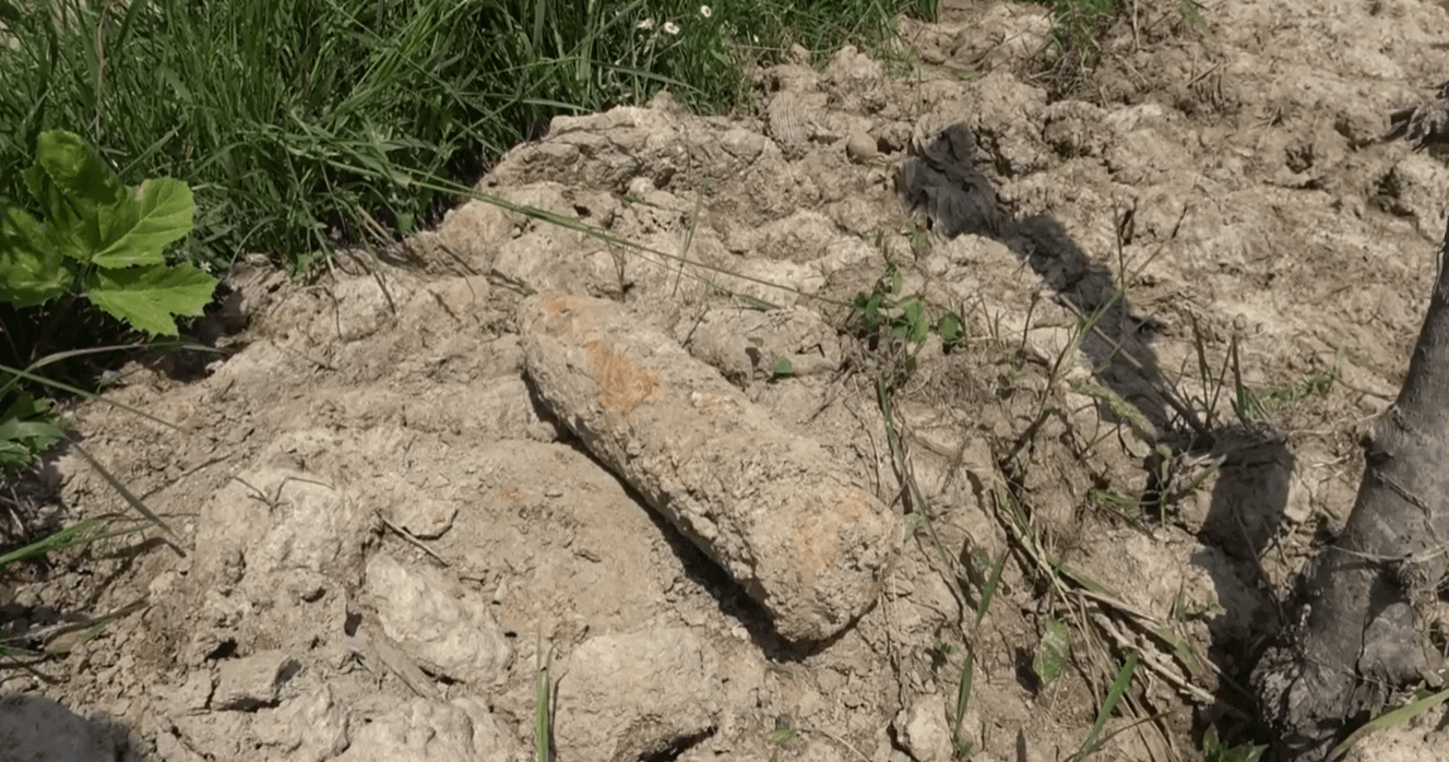 Прикарпатські піротехніки показали, як знищують знайдені боєприпаси (ВІДЕО)