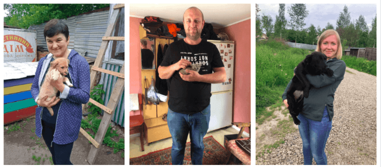 За травень 23 тварини знайшли нові родини з калуського “Дому Сірка” (МИЛІ ФОТО)