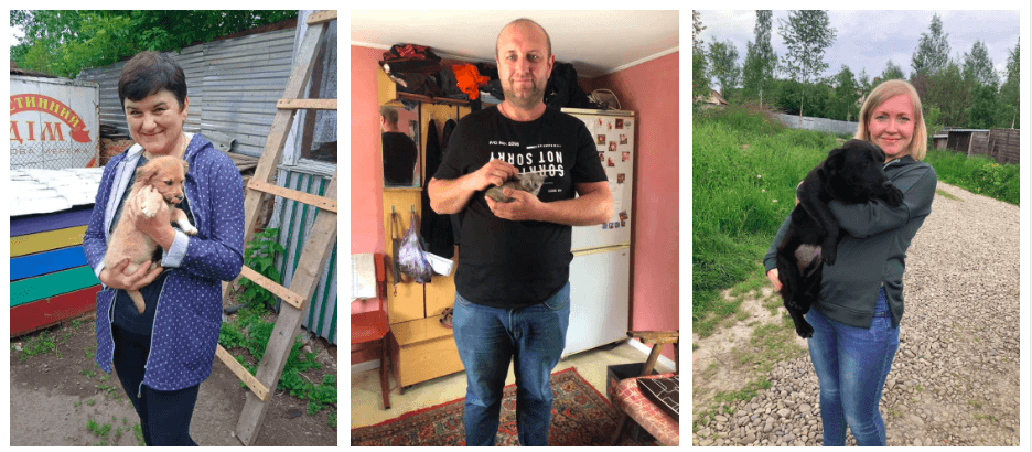 За травень 23 тварини знайшли нові родини з калуського “Дому Сірка” (МИЛІ ФОТО)
