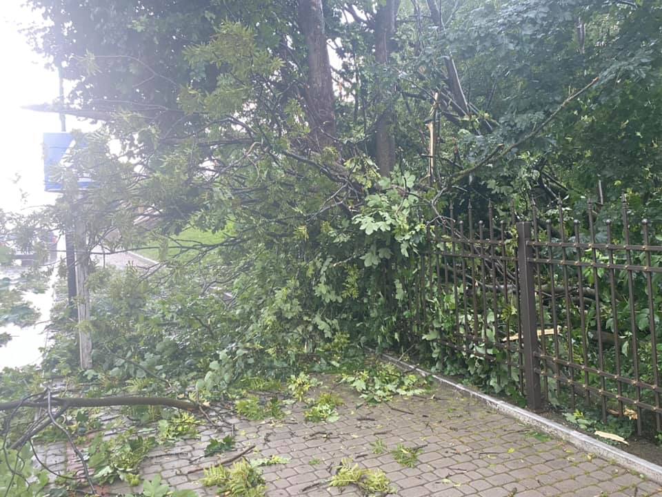 Повалені дерева та “літаючі” дахи: на Прикарпатті п’ятихвилинний буревій наробив лиха (ФОТО, ВІДЕО)