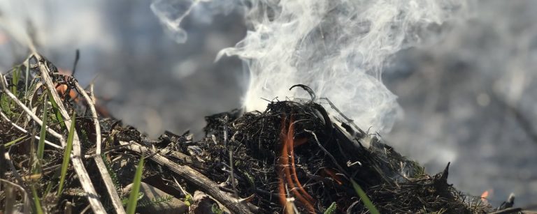 На Франківщині очікується пожежна небезпека надзвичайно високого рівня
