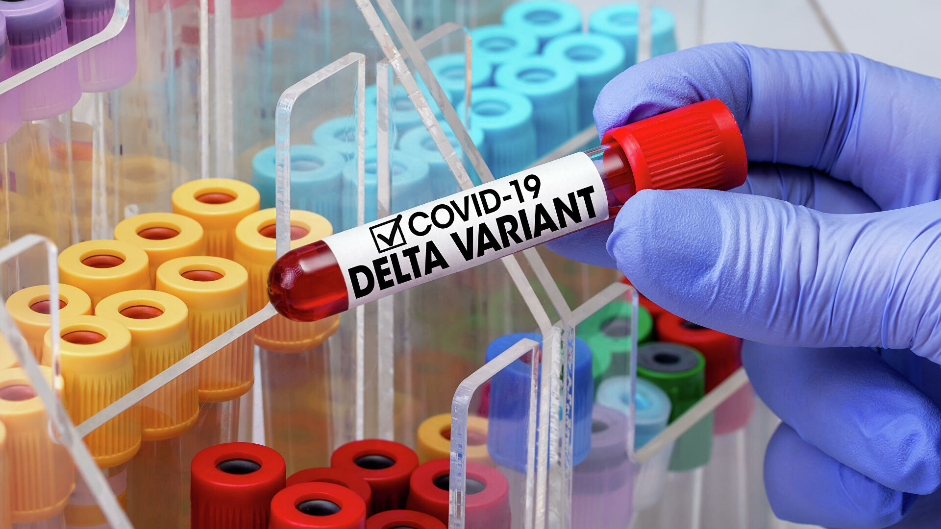819 прикарпатців захворіли на COVID-19 у середу, 22 померли, 743 одужали