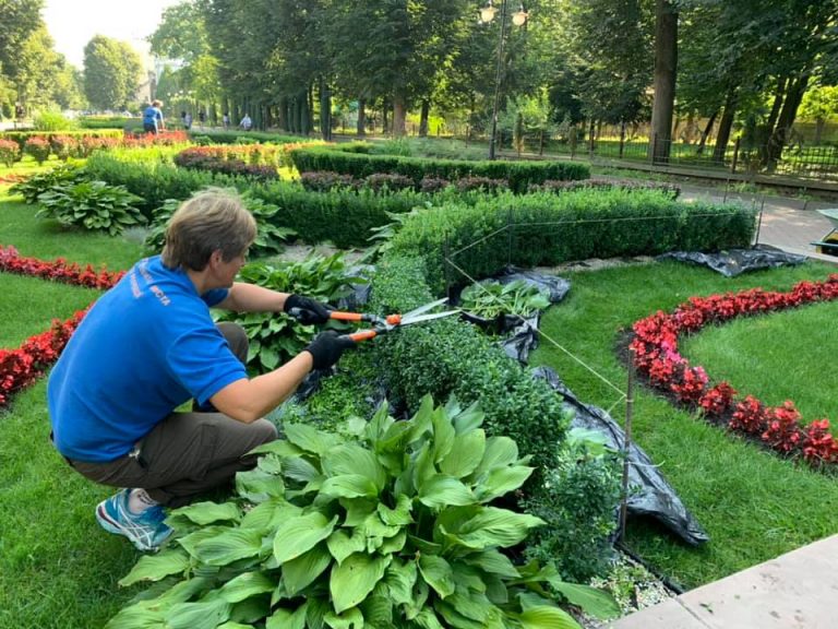 У мережі показали як доглядають клумби в парку Шевченка (ФОТО)
