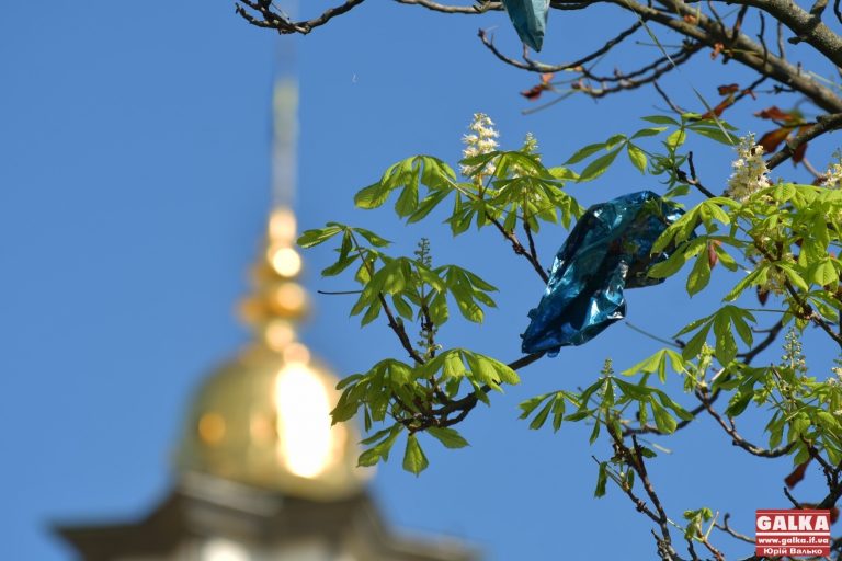 Осінь близько: у центрі Франківська розквітли каштани (ФОТО)