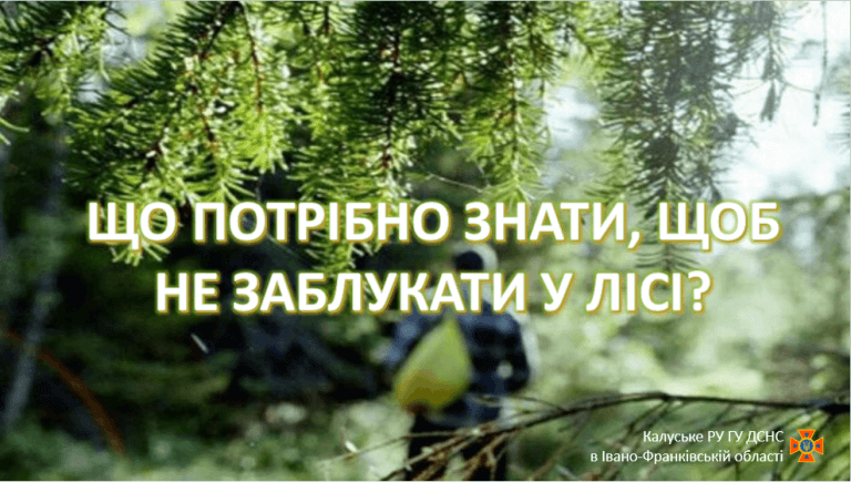 Прикарпатцям радять, як не загубитися в лісі