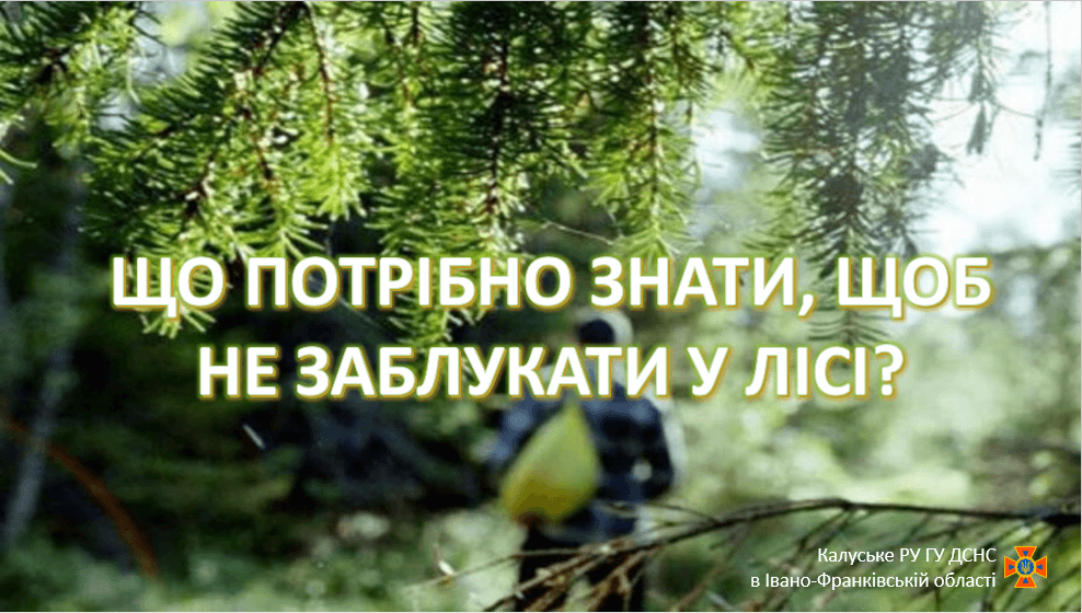 Прикарпатцям радять, як не загубитися в лісі