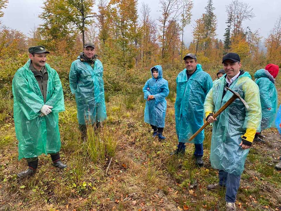 На Верховинщині висадили понад чотири тисячі дерев, які виростило місцеве лісництво (ФОТО)