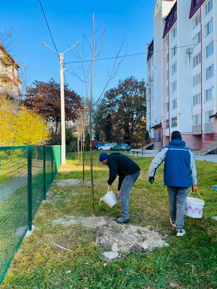 Нову алею висадили на “БАМі” (ФОТО)