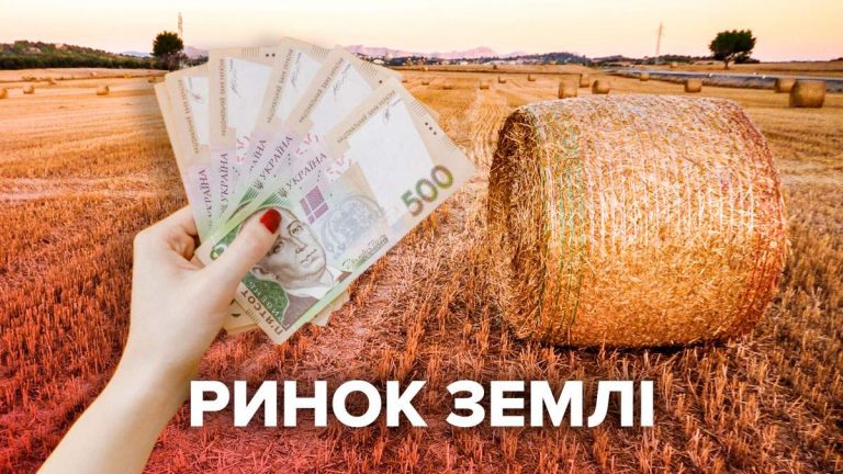 Прикарпаття на передостанньому місці по темпах продажу землі після відкриття ринку