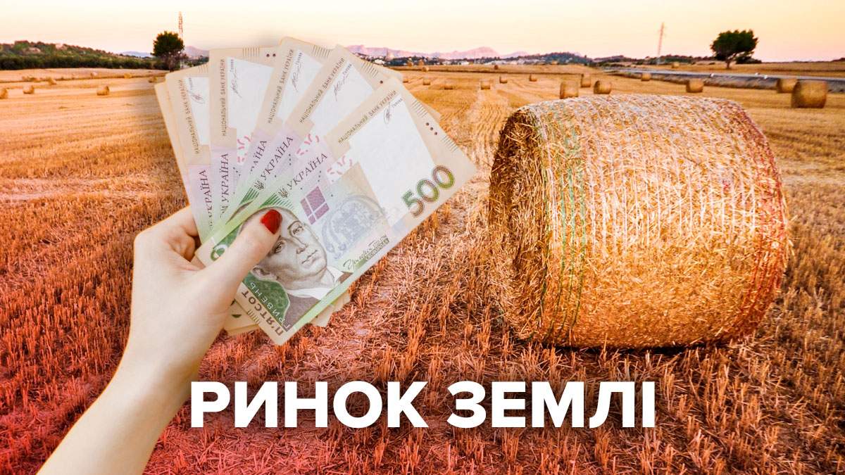 Прикарпаття на передостанньому місці по темпах продажу землі після відкриття ринку