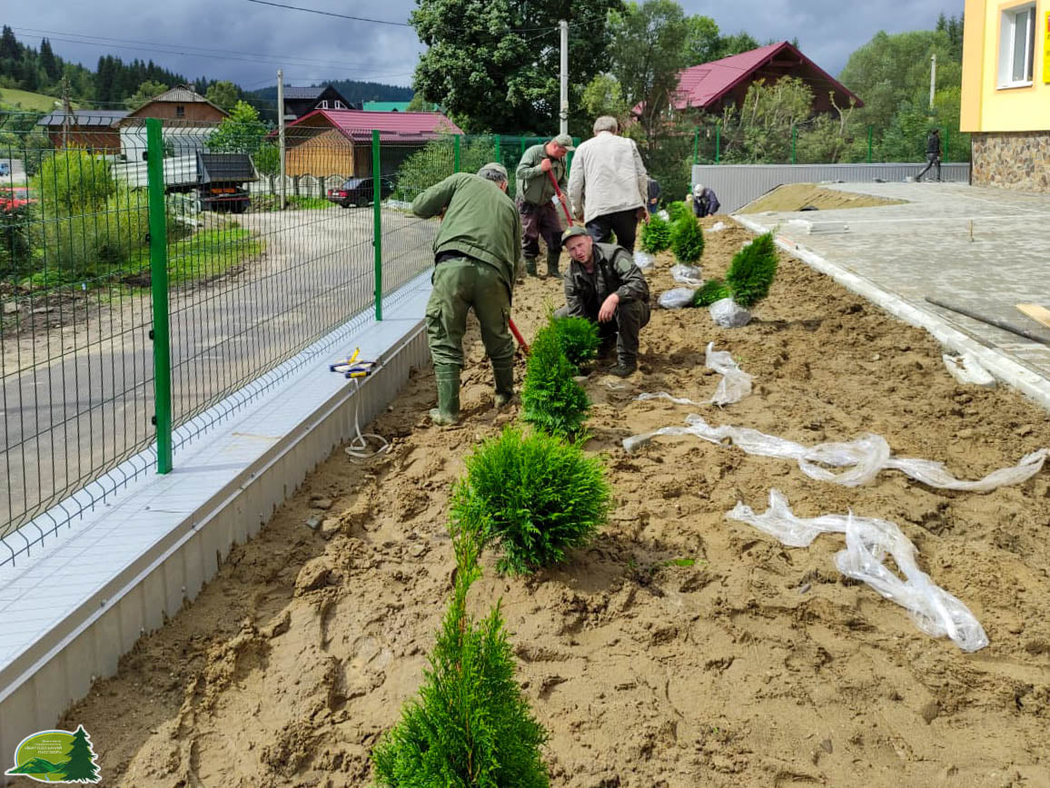 Лісівники озеленили подвір’я оновленої школи у Вишківській громаді (ФОТО)