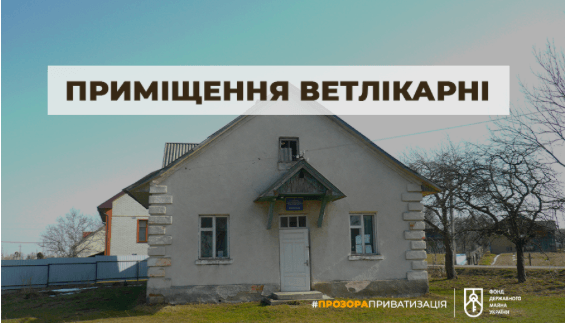 Приміщення ветклініки на Рожнятівщині виставили на онлайн-аукціон