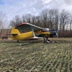 кукурудзяник, АН-2, Івано-Франківськ