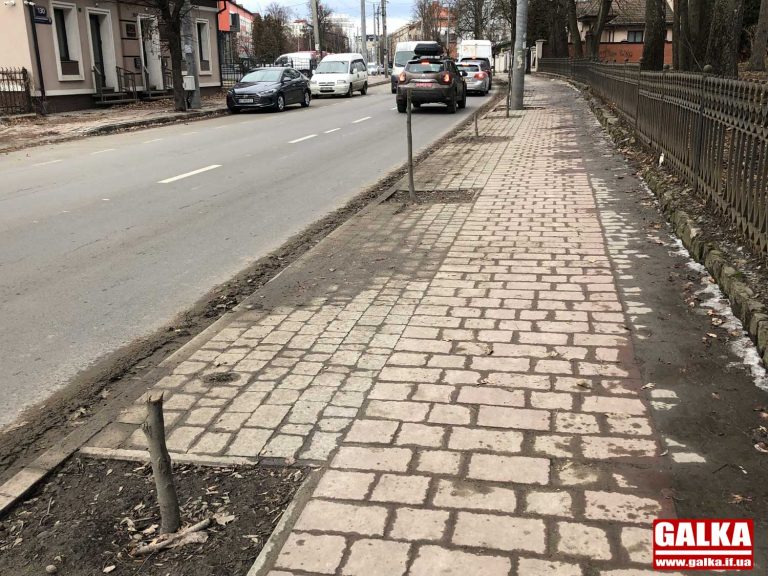 Різали пилою: на Мазепи понищили більшість молодих дерев (ФОТО)