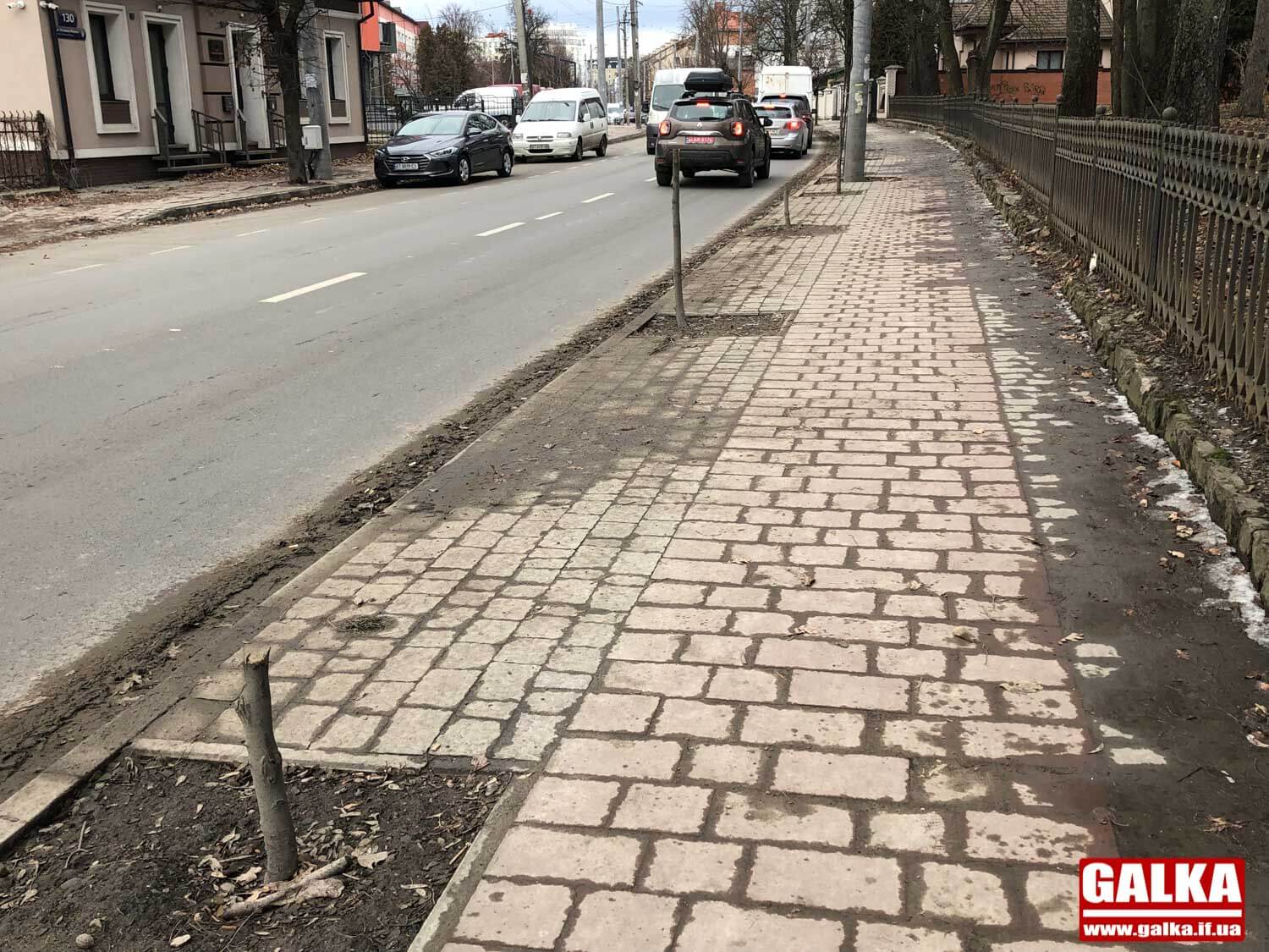Різали пилою: на Мазепи понищили більшість молодих дерев (ФОТО)