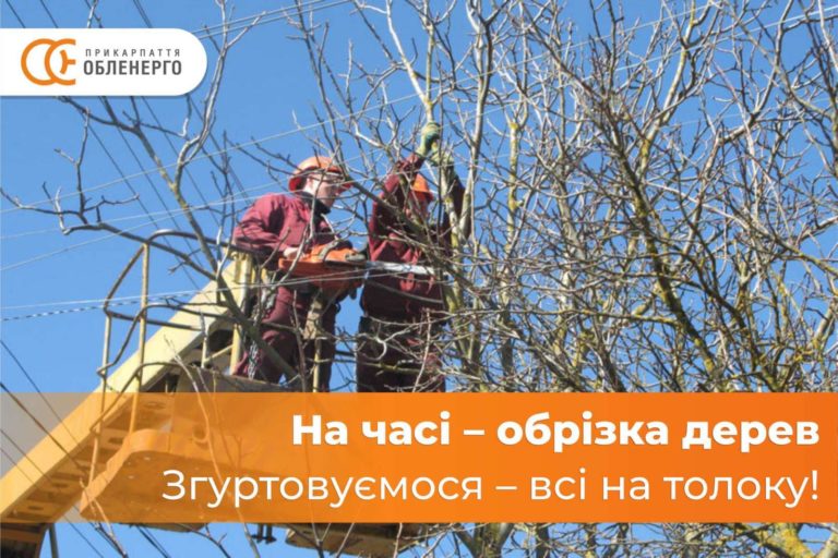 Прикарпатців закликають організовувати місцеві толоки для чистки трас повітряних ліній електропередач