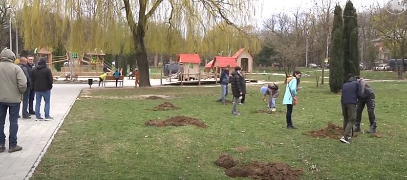 Поблизу міського озера мешканці різних міст висадили липову Алею солідарності (ВІДЕО)