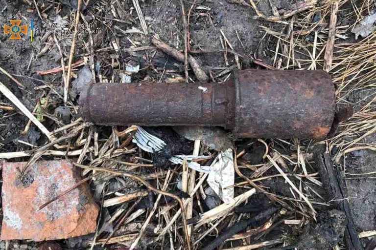 У двох районах області на відкритій території знайшли застарілі гранату та міну (ФОТО)