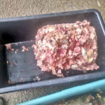 фото рибного продукту без документів