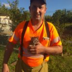 МАРСіанин і кошеня