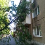 дерево впало на балкон