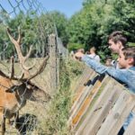 Галицький НПП