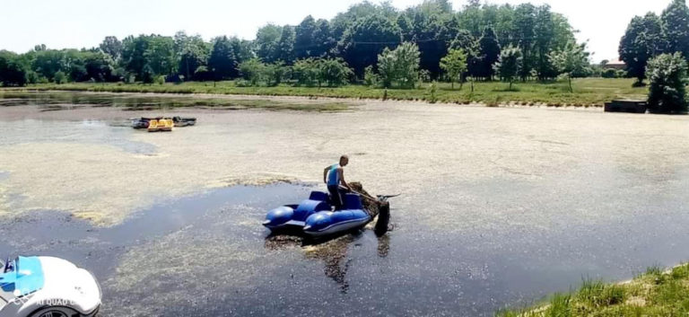 В Калуші чистять міське озеро: скоро там відновлять прокат катамаранів (ФОТО)