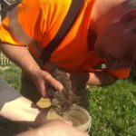 МАРСіани визволяють котика