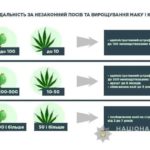 нарковмісні рослини