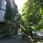 на Сорохтея дерево впало на балкони