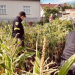 Правоохоронці на операції "Мак"